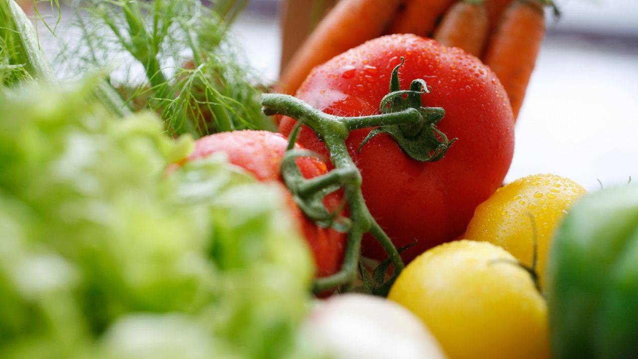Gesunde Ernährung ohne Verzicht: Warum Genuss der Schlüssel zu mehr Energie ist Symbolfoto