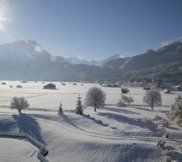 Garten und Bergblick im Winter