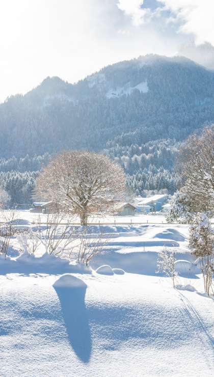 Winter im Allgäu alles voller Schnee