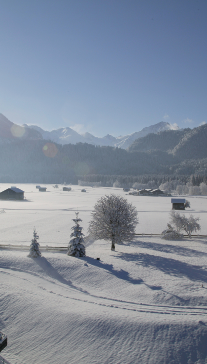 Winterliches Panorama
