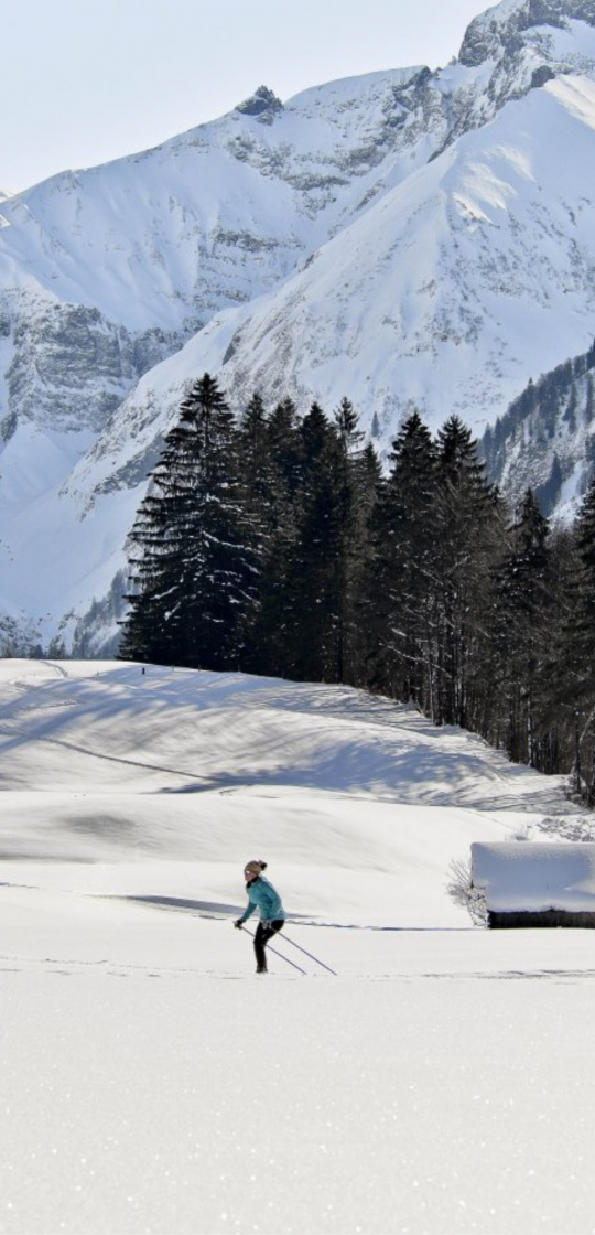 Frau beim Langlauf auf den Loipen in den Bergen