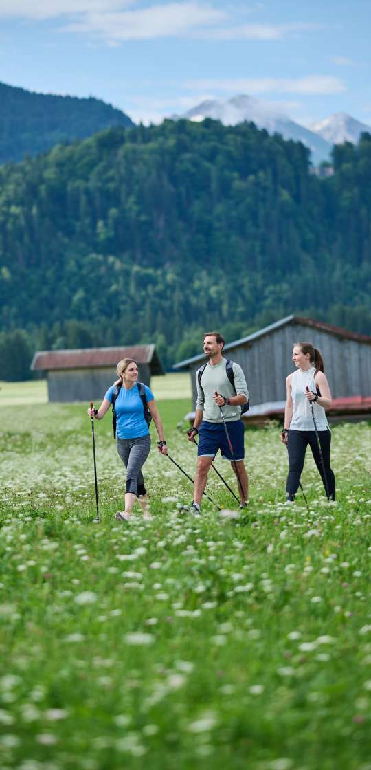 Drei Menschen beim Nordic Walking