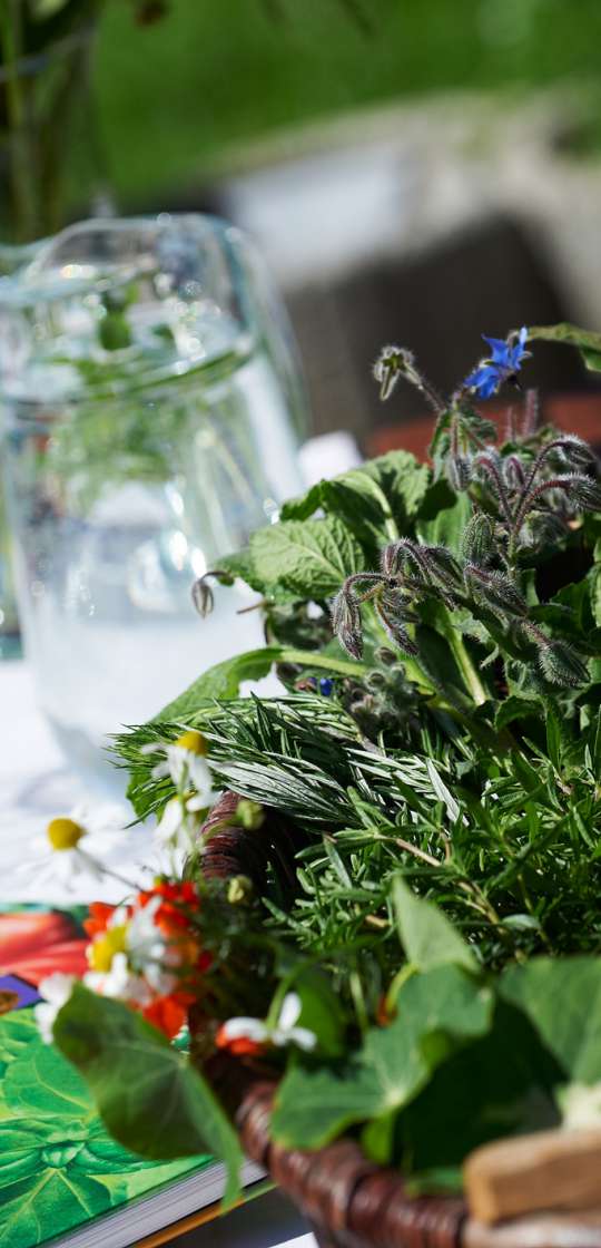 Kräutergarten in Oberstdorf